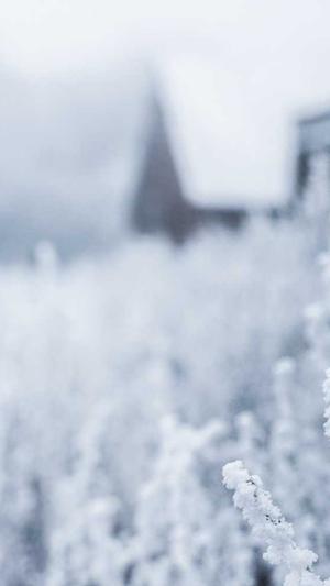 第一黑料影后肉截图2