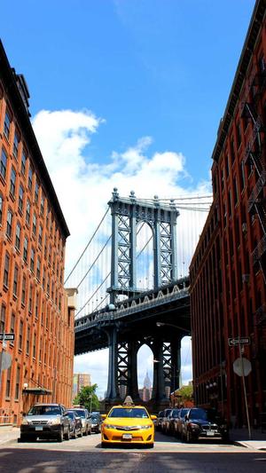 吃二甲双瓜可以减肥吗截图2