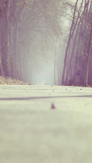 zztt10黑料不打烊网址截图2