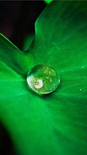 娱乐黑料常州冶金江怡截图4