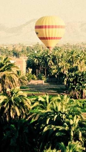 孕妇吃哈密瓜有什么好处截图1