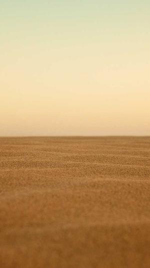 第一黑料影后截图2