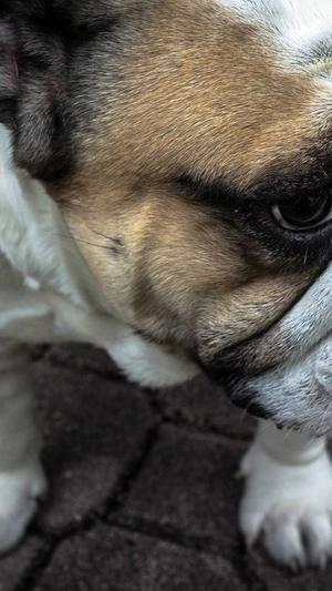 月经可以吃哈密瓜吗截图1