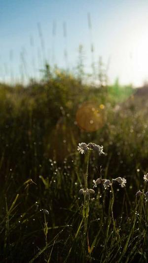 51吃瓜热心截图4