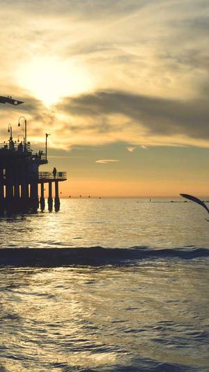 51吃瓜网热心的朝阳群众截图3