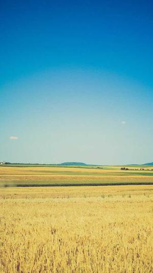 国产黑料不打烊截图5