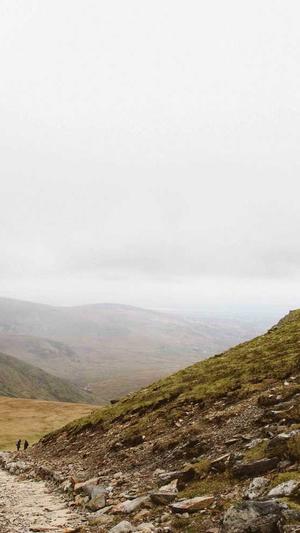 哈密瓜能和芒果一起吃吗截图3