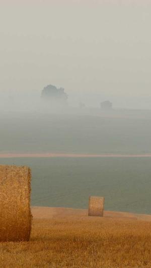 感冒了可以吃哈密瓜吗截图1