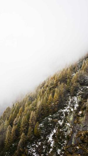 范丞丞黑料截图4