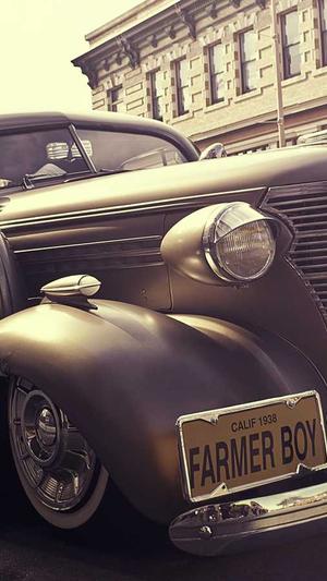 狗狗可以吃哈密瓜截图5