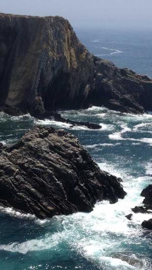 黑料不打烊6688截图5