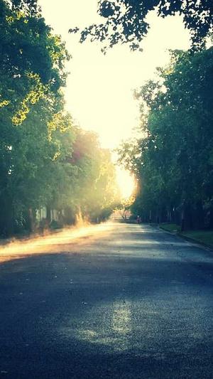 hannah owo黑料截图4