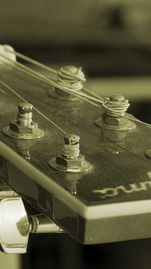 亨斯迈聚氨酯黑料截图3