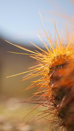 黑料正能量hl截图1