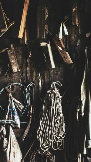 51fun吃瓜网官网截图4