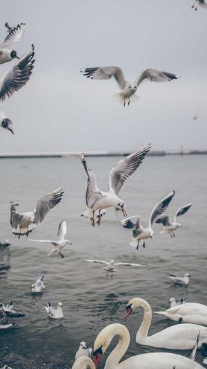 51今日吃瓜爆料截图2