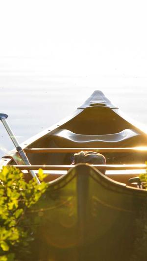 网络上吃瓜是什么意思截图1