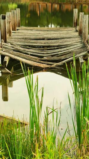 刘宇宁黑料截图1