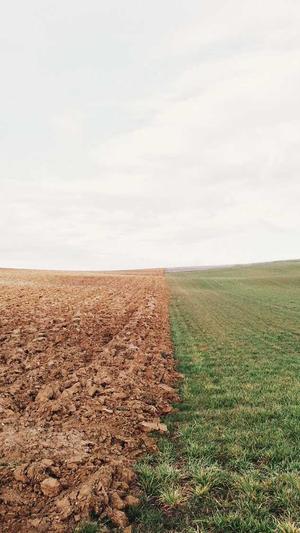 瓜瓜吃瓜视频截图5