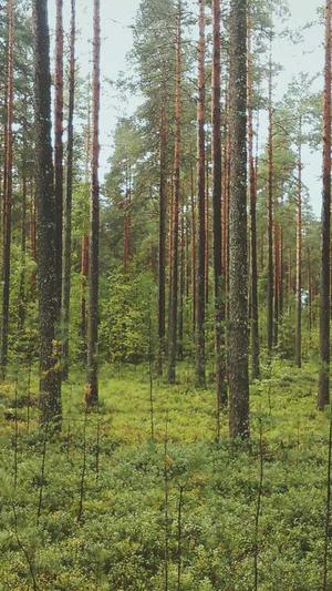 哈密瓜和芒果能一起吃吗截图1