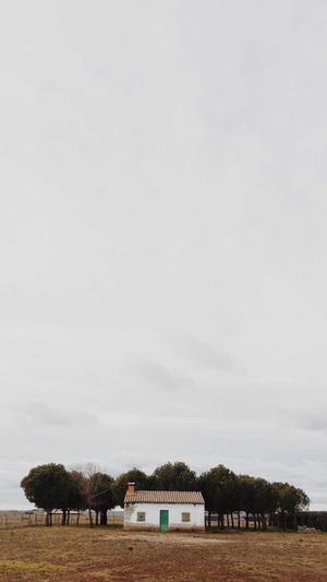 17吃瓜官网黑料截图2