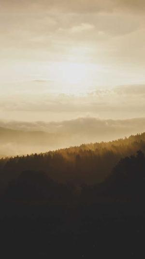 全民吃瓜下载截图3