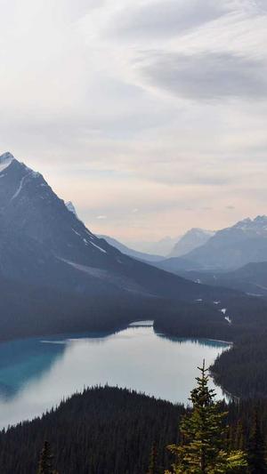 51吃瓜张津瑜截图3