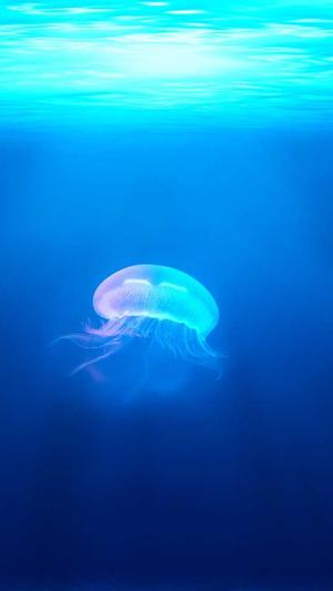 谁有黑料网站截图2