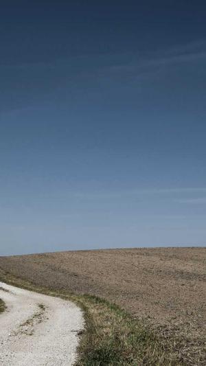 全民吃瓜下载截图2