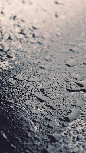 佛手瓜怎么吃没毒截图5