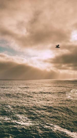 黑料不打烊入口地址截图5