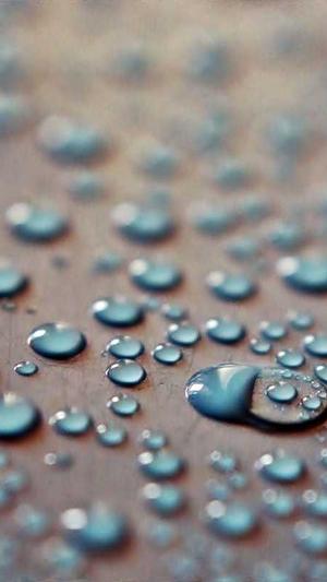 每日吃瓜网截图1