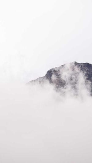 刘宇宁黑料截图5