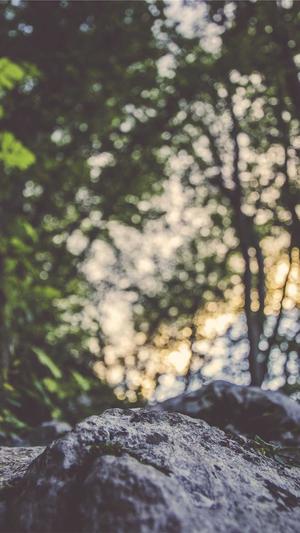 黑料正能量网站截图1