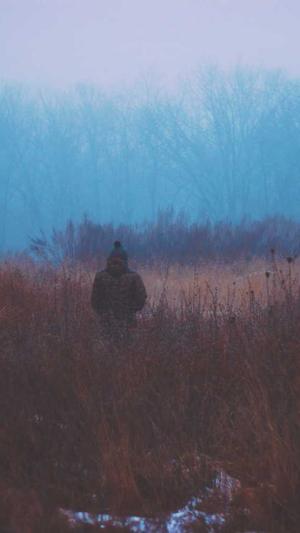 吃哈密瓜多了能过敏吗截图2