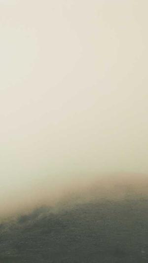 黑料社在线截图1