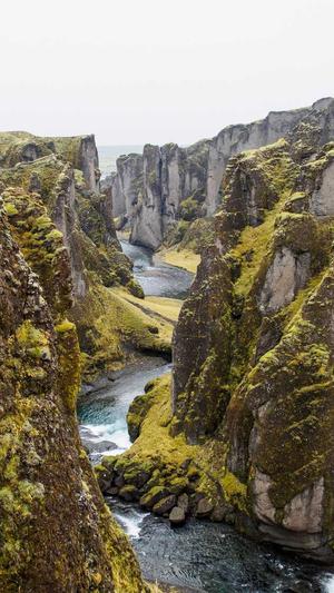 哈密瓜可以和牛奶一起吃吗截图3