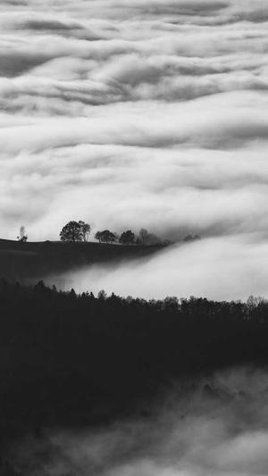 吃瓜群众岱消失截图1