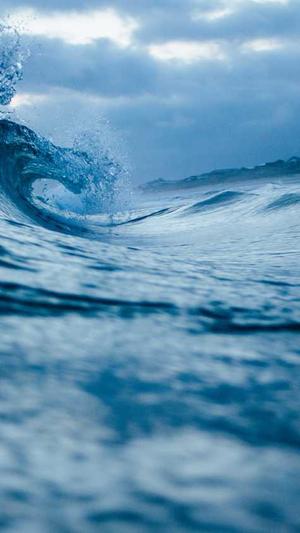 黑料不打烊tttzzz首页截图3