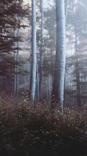 专门吃瓜的网址截图3