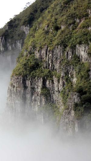 黑料在线播放截图4